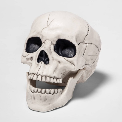 Skull Halloween Decorative Prop - Hyde & Eek! Boutique™ : Target
