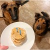 Superberry Snoot Pooch Pancakes (14oz) - 4 of 4