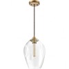 Quoizel Lighting Nostalgia 1 - Light Pendant in  Weathered Brass - 2 of 4