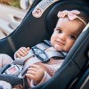 Chicco KeyFit Max ClearTex Infant Car Seat - 2 of 4