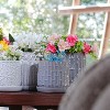 KTMBDW Plant Pots, Ceramic Planters with Drainage Holes,Nursery Planting Pot for Indoor Out Door Plants - 2 of 4