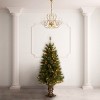 National Tree Company 4 ft. Atlanta Spruce Entrance Tree with Clear Lights - 2 of 4