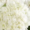 Uttermost Anastasia Hydrangea Centerpiece-Cream Blooms with Natural Foliage in Glass - 4 of 4