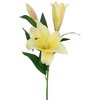 Northlight Real Touch™ Yellow Artificial Lily Floral Stems, Set of 5 - 38" - 4 of 4