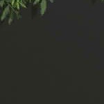Black | 59X30X12in | 2 panel/Rectangle