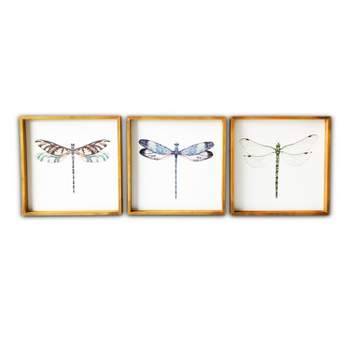 (Set of 3) 20" x 20" Dragonflies Wood Framed Wall Canvas - Gallery 57