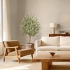 5FT-B Artificial Olive Tree for Home Decor Artificial Indoor, Tall Fake Olive Tree with Moss,with Realistic Trunks, Adjustable Branch and Fruits - 4 of 4