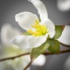 Sullivans 41" Artificial White Peach Blossom Stem - 2 of 2
