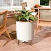 FONTOI Round Planter Pot with Stand, Indoor Outdoor Flower Planters for Garden Living Room Backyard, White, 14.8"*20.3"*14.8" - 4 of 4
