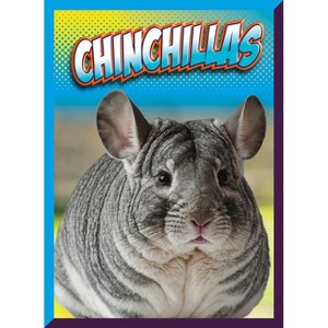 Chinchillas - by  Marysa Storm (Paperback) - 1 of 1