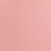Salmon Pink