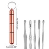 Unique Bargains Earwax Cleaning Tool Kit Portable Stainless Steel Earwax Cleaner Tool Set 10Pcs - 4 of 4