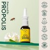 Beekeepers Naturals Propolis Xylitol Nasal Spray Max - 1 fl oz/30ml - image 3 of 4