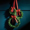 Plum & Post Boxwood Wreaths With Red Ribbons Set of 3 - 2 of 2