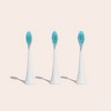 Cocolab Electric Brush Head Refills with Extra Soft and Gentle Bristles - 33yd/3pk - 2 of 4