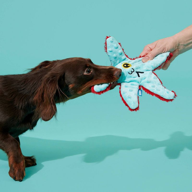 BARK Carla Starfish Dog Toy, 3 of 12