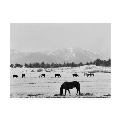 24" x 32" Black Horse In Winters Mountains Wyoming by Monte Nagler - Trademark Fine Art