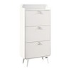 TIRAMISUBEST Modern Arc Design Shoe Cabinet With 3 Drawers,Shoe Storage Cabinet for Entryway - 3 of 4