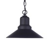 Craftmade Lighting Singleton 1 - Light Pendant in  Midnight - 4 of 4