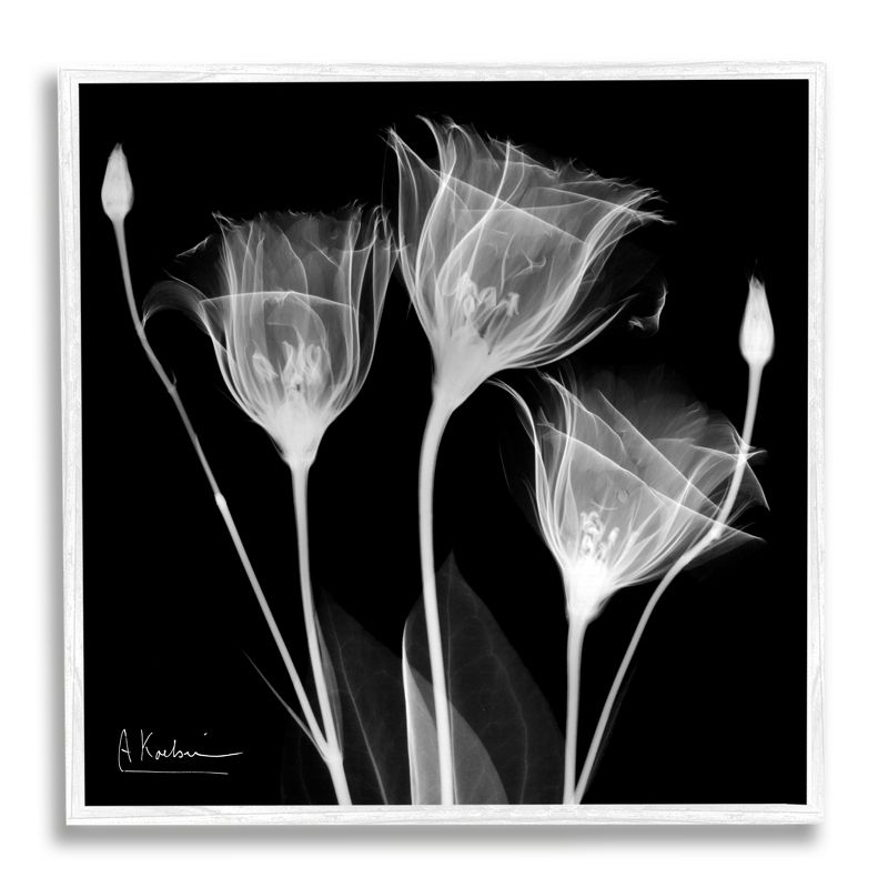 Stupell Industries Contemporary Tulip X-Ray Framed Giclee Art, 1 of 6
