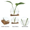Unique Bargains Wooden Stand Hydroponic Collectible Glass Terrarium 2 Pcs - 2 of 4