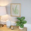 Northlight Framed Fern Leaf Print on Burlap Wall Art - 16" - Beige - 2 of 4