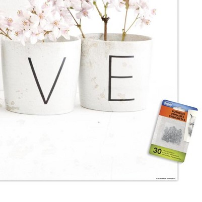 clear push pins bundle