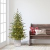 Puleo 4.5' Pre-Lit Artificial Green Potted Arctic Fir Tree - 2 of 4