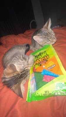 Guest review image 1 of 2, zoom in