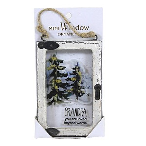 3.75 In Window Message Ornament Mini Family Friend Professional Tree Ornaments - 1 of 3