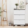 Shoe Cabinet, Shoe Storage Cabinet with 3 Flip Drawers, 47 In Tall Freestanding Shoes Racks - 2 of 4