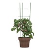 vidaXL Garden Plant Supports with 3 Rings 5 pcs Green 23.6" Steel - 3 of 4