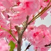 Nasitip Artificial Cherry Blossom Tree,Decorative Faux Cherry Blossom Silk Tree in Pot, Home Corner Decor - 4 of 4