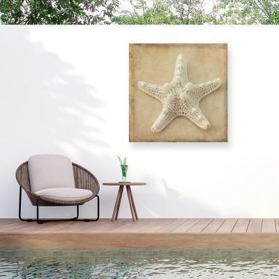 "Sepia Shell I" Outdoor Canvas