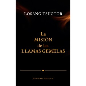 Misión de Las Llamas Gemelas, La - by  Jose Luis Sanchez (Paperback) - 1 of 1