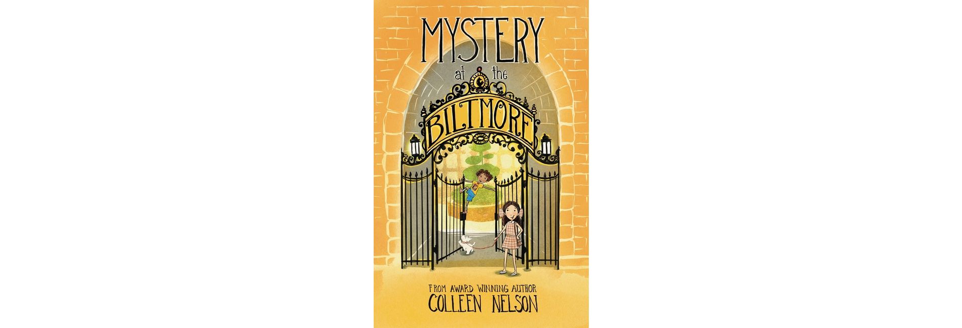 Mystery at the Biltmore - by  Colleen Nelson (Hardcover)
