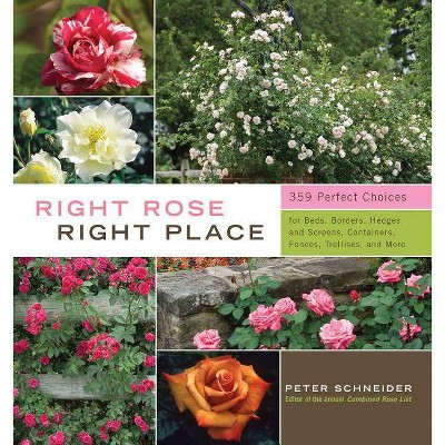 Right Rose, Right Place - by  Peter Schneider (Hardcover)