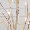 Nearly Natural 4-ft Pre-Lit Artificial Birch Tree with 50 Warm White LED Lights - 3 of 4