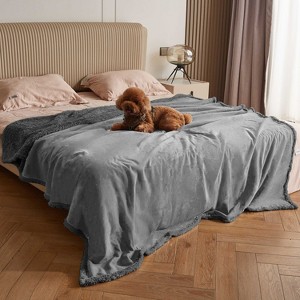 Kritter Planet Waterproof Pet Blanket for Dog Cat - Reversible Cover Blanket for Couch Bed, Ideal Furniture Protector for All Pets - 1 of 4