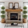 5FT Artificial Olive Topiary Tree - Triple Ball Design with Moss Pot, Realistic Faux Plant for Indoor/Outdoor, Home, Office, Porch Decor - 2 of 4