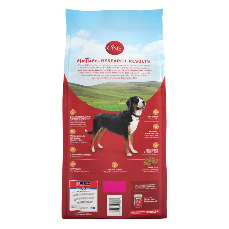 Purina ONE SmartBlend Natural Dry Dog Food with Chicken & Rice, 4 of 9
