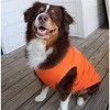Doggie Design Happy Face Dog Tank - Sunset Orange - 4 of 4