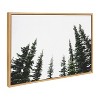 Kate and Laurel Sylvie Evergreens Framed Canvas by Patricia Hasz of Patricia Rae Photography, 23x33, Natural - 2 of 4