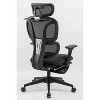 Black Ergonomic High-Back Mesh Chair: Footrest, Dynamic Lumbar, 2D Headrest, 4D Arms, Swivel - 4 of 4