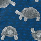 navy tortoises