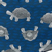 navy tortoises