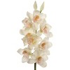 Floral Home 30" White Cymbidium Stem - 12-Piece - 2 of 2