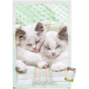 Trends International Keith Kimberlin - Kitten 09 Unframed Wall Poster Prints - 1 of 4