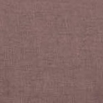 clove with cream tipped edges