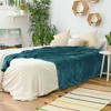 PiccoCasa 280GSM Soft Weave Pattern Fuzzy Plush Flannel Throw Blanket 1 Pc - 4 of 4